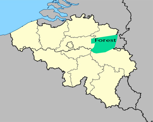 Forest